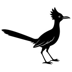 Roadrunner Silhouette Vector Design