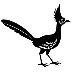 Roadrunner Silhouette Vector Design