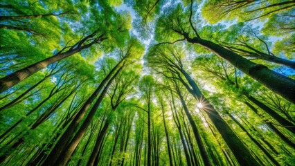Vibrant green foliage of towering trees stretches towards the sky, casting dappled shadows on the forest floor, creating a serene and peaceful natural background.