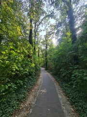 Fototapeta premium Naturpfad in Eichwalde, Brandenburg