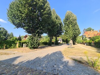 Naturlandschaft im Sommer in Eichwalde, Brandenburg