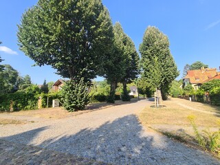 Naturlandschaft im Sommer in Eichwalde, Brandenburg