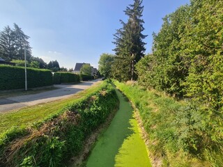 Naturgebiet mit Bach in Schulzendorf, Brandenburg