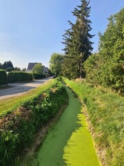 Naturgebiet mit Bach in Schulzendorf, Brandenburg