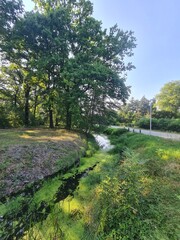 Bachgebiet in Schulzendorf, Brandenburg