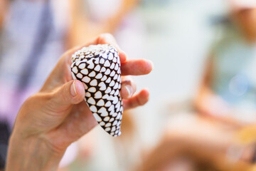 Person holding a uniquely patterned rock with a heart design in a casual indoor setting during...