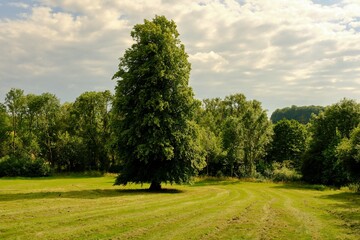 Beautiful picturesque lush green English countryside landscape i