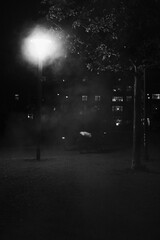 Mysterious foggy night with streetlight illuminating a park scene