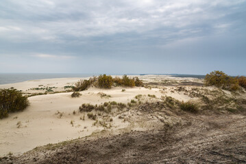 View of Dune Ridge and Curonian Lagoon from Efa height in Curonian spit national Park. Russia