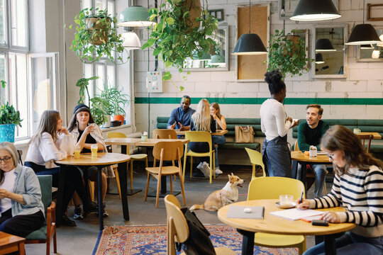 Multiethnic people resting and spending time in comfortable cafe