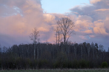 Fototapeta premium Dramatic sky over the fields. Agricultural landscape in eastern Lithuania.