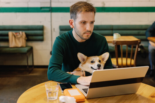 Man with adorable dog using and watching laptop at table in cafe
