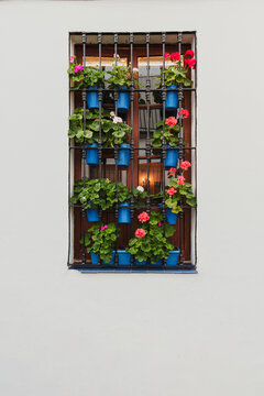 A window adorned with blue flowerpots and vibrant red and pink flowers