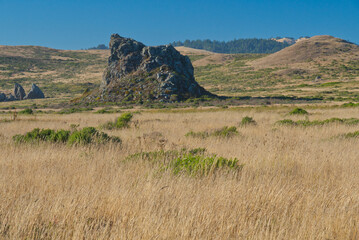 Mammoth Rocks area of the Sonoma coast