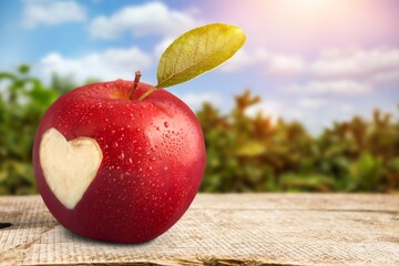 Ripe fresh red apple fruit