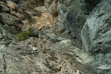 Rock texture. Close up rock with plants and grass.