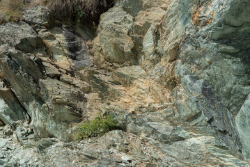 Rock texture. Close up rock with plants and grass.