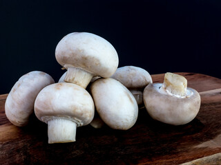 Champiñon de color blanco con un fondo oscuro.