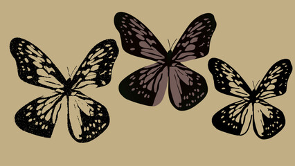 Butterflies set silhouette and vintage grunge photo copy effect, y2k banner design element. Vector illustration.