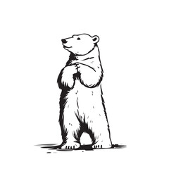 Polar Bear Standing Stock Image Vector Isolated on white Background