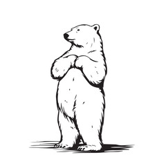 Polar Bear Standing Stock Image Vector Isolated on white Background
