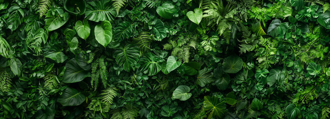 Lush Foliage: Dark Green Plants Creating a Stunning Plant Wall Design in a Tropical Cloud Forest
