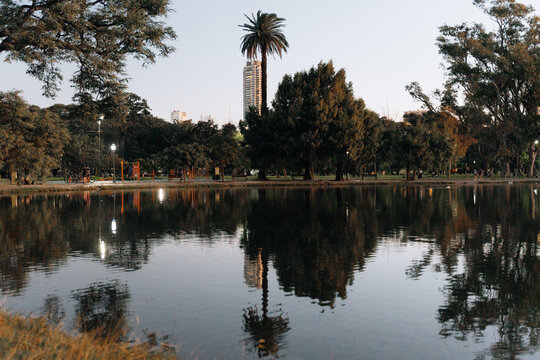 Lake, cityscape, trees and palm reflection in water. City park