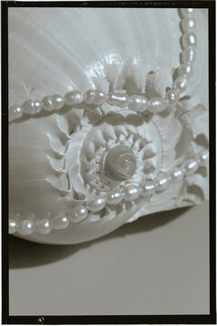 Pearl bracelet and seashell