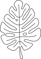 monstera leaf flat outline, on transparent, png. for botanical emblems, cosmetics, clothing printing, stickers, banner