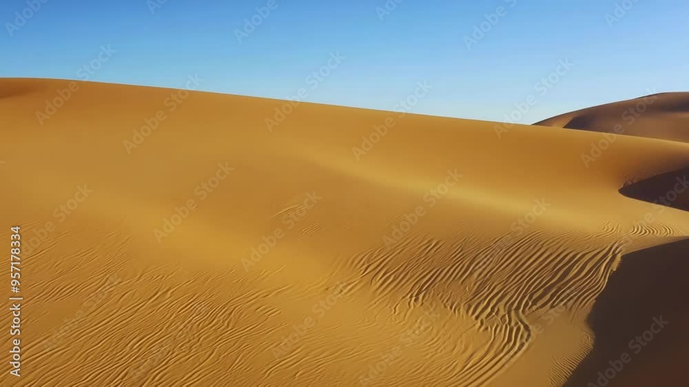 Poster Smooth sand dunes are extending as far as the eye can see, creating a mesmerizing pattern sculpted by the wind under a clear blue sky