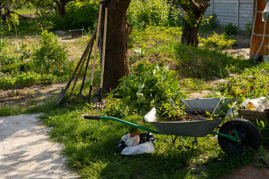 vegetable garden and gardening tools