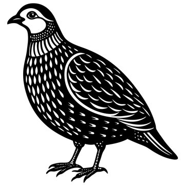 recommend clip art: illustration of a partridge animal vector silhouette