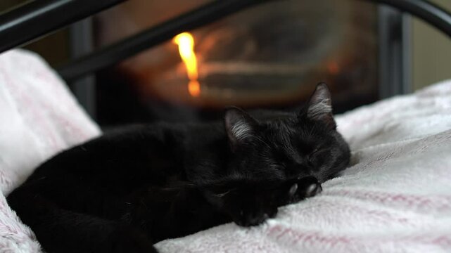 Black cat peacefully sleeping on a soft blanket with a warm fireplace in the background.