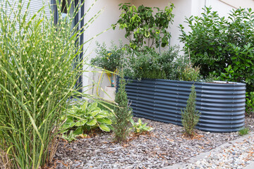 Modern garden design and landscaping: Easy-care front yard with pampas grass and perennial plants and small conifers, green plants planted in a raised bed made of steel panel, surrounded by bark mulch