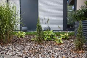 Modern garden design and landscaping: Easy-care front yard with pampas grass and perennial plants and small conifers, green plants planted in a raised bed made of steel panel, surrounded by bark mulch
