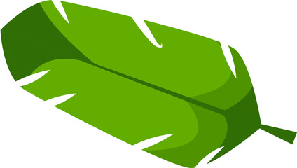 banana palm leaves. Natural pattern. For advertisements, business cards, brochures on transparent, png.