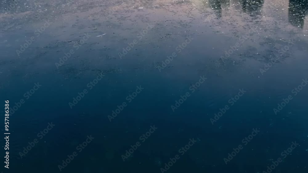 Aufkleber sunlight illuminates the deep blue seabed, creating a captivating underwater scene. the serene and t