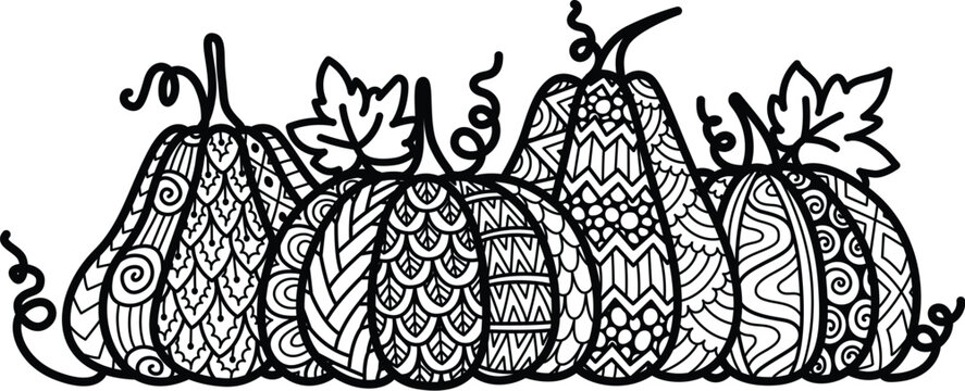 Mandala pumpkins for halloween, thanks giving, autumn harvesting concept. Adult coloring page for anti stress. Vector illustration.