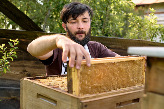 beekeeper holding a beehive frame filled with honey