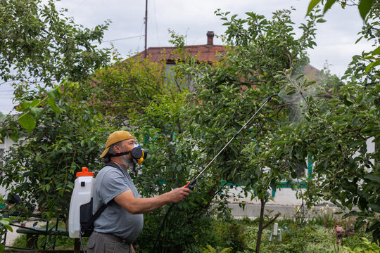 processing trees near the house
