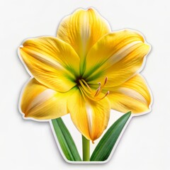 A Single Yellow Lily Flower, Paper Cutout, Close Up, White Background, Floral, Bloom, Nature