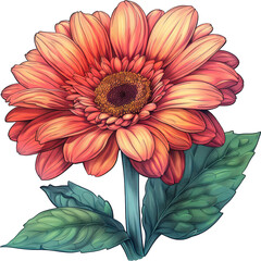 A colorful illustration of a single orange gerbera daisy with green leaves, drawn in the style of a childrens book