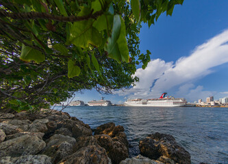 Naturaleza y cruceros