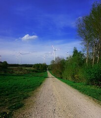 farma wiatrowa © Damm