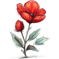 A simple, watercolor illustration of a red poppy flower with a bud and green leaves