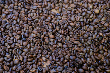 Freshly roasted robusta coffee with a brown color
