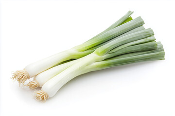Fresh leek isolated on white background, Close up shot green spring onion with cutting leaf.
