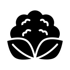 Cauliflower Vector Glyph Icon Design