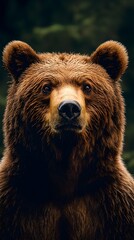 Obraz premium Ultra-realistic bear image in high resolution, showcasing lifelike textures and expressions