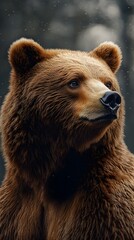 Fototapeta premium Stunningly realistic high-definition bear image highlighting the intricate details of its fur